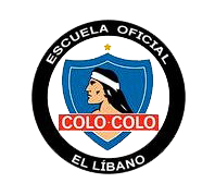 Escuela Colo-Colo Oficial